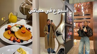 LEBANON VLOG NEW HOUSEBRUNCHMUKBANG  أسبوع في حياتي بيت جديد [upl. by Dhruv914]