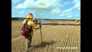 Brandbekämpfung mit Feuerpatschen [upl. by Mali]