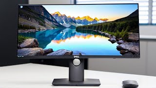 Best Dell Monitors 2024 1 Will Surprise You [upl. by Ycrep]