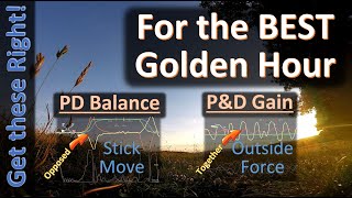 The Importance of PD Balance  PampD Gain Strength [upl. by Neema862]