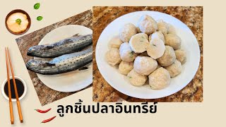 ลูกชิ้นปลาอินทรีย์ ทำจากปลาสดแม่บ้านอเมริกา [upl. by Sisenej]