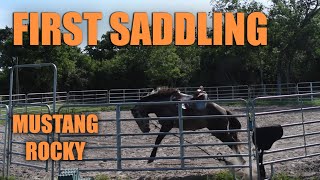 First Saddling  Mustang Rocky [upl. by Benedicto663]