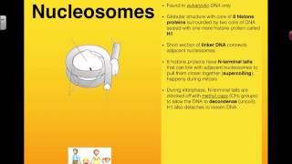 Nucleosomes Regulate Transcription 2016 IB Biology [upl. by Yahc]