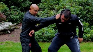 Difference between tai chi and wing chun [upl. by Anide]