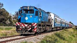 LOS TRENES A MAR DEL PLATA BUENOS AIRES PASANDO A HORARIO POR EL SOSIEGO  TRENES ARGENTINOS 2024 [upl. by Donohue23]