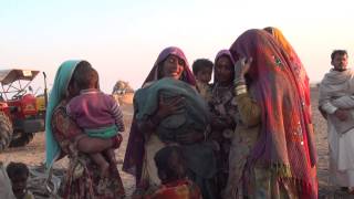 Inde désert du Thar 2012 Chants femmes Joggis les gitans du désert de Thar [upl. by Gabor]