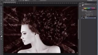 Adobe Photoshop 04 Montage  4e partie  Bichromie [upl. by Kenaz384]