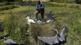 WWT  London Wetlands Centre [upl. by Ayifa217]