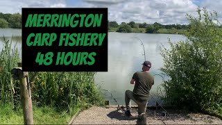 MERRINGTON CARP FISHERY  MAIN LAKE  SUMMER CARP FISHING  SHROPSHIRE [upl. by Theodoric]