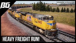 Dovetail Direct  Summer 2024 Train Sim World 5VR August 20th 2024 1400 UTC [upl. by Thisbee]