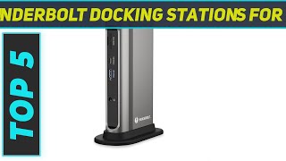 Top 5 Best Thunderbolt Docking Stations For Laptops in 2024 [upl. by Delfine]