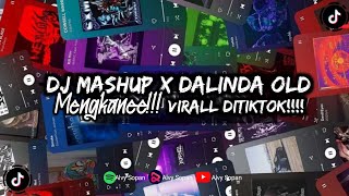 DJ Mashup viral x dalinda old mengkaneeee viral di tiktok 2024 [upl. by Fitz]