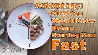 Autophagy What You Should Know Before Starting Your Fast [upl. by Aisatnaf]