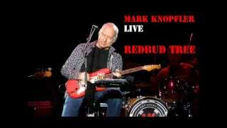 Mark Knopfler  Redbud tree Live  Saskatoon October 8 2012 [upl. by Santa119]