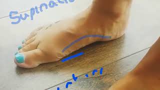 Pronation supination foot vid [upl. by Fanchet]