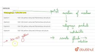 Malpighian tubules are [upl. by Arek]