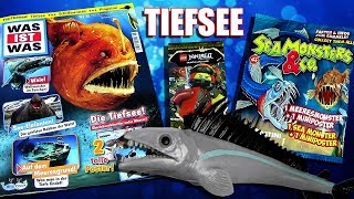 Was ist Was Nr 8  Tiefsee mit Sea Monsters amp Co  Ninjago ™ Karten  Review [upl. by Ihel]