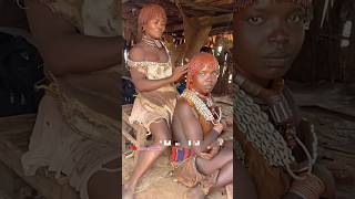 Crazy marriage ceremony of hammar tribe in Ethiopia thepaktrekker [upl. by Lladnarc]