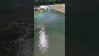 where the Kispiox river meets the Skeena river [upl. by Garnes102]