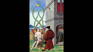 Mysterium Coniunctionis by Carl Jung  Presented by Phoenix Heritage  Part 1 [upl. by Everick111]