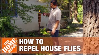 How to Keep Flies Away and Prevent Flies in Your House [upl. by Bishop]