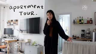 an overly realistic aestheticish apartment tour 220mo in china [upl. by Zanas]