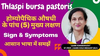 Thlaspi bursa pastoris Homoeopathic Medicine Explained By Dr Hande Five Main Symptoms  BHMS [upl. by Ahsanat]