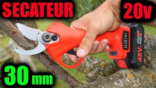 sécateur sans fil 20V de jardin à batterie Aliexpress Amazon 30mm 20V type Bosch EasyPrune [upl. by Iliram]