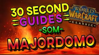 Majordomo Executus  Molten Core  SoM  30 Second Guides [upl. by Ymmot]