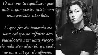 A Perfeição  Poema de Clarice Lispector Recitado por Arte em Palavras [upl. by Rawley]