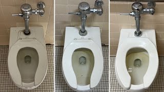 Three 2000s American Standard Afwall Toilets [upl. by Faina]