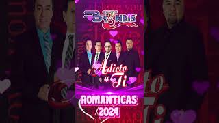 Los Mejores Exitos De Grupo Bryndis  Romanticas Mix [upl. by Naols]