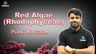 RhodoPhyceae  Class 11th  Biology  Ram sir  Horizon Academy [upl. by Aciraa]