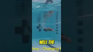 All Strokes – Underwater Dolphins – Changing Rate [upl. by Jeremie592]