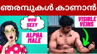 ഞരമ്പുകൾ ദൃശ്യമാക്കണോ   How To Get Your Veins to Show in Malayalam  How to attract girls [upl. by Aidan]