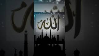 3 ase ne kiya hai ❤️ viralshort youtubeshorts islamichistory love [upl. by Boigie]