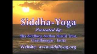 Siddha  Yoga A way to peace and enlightmentmpg [upl. by Mehelhteb]