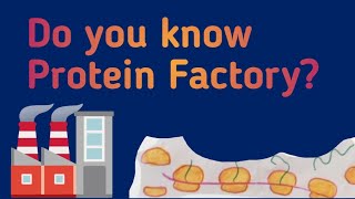 Ribosomes Lecture 3  Cell  Biology FSC 1st year Medical Medicos [upl. by Donalt]