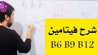 كيف تسبب نقص الفيتامينات B6 B9 B12 فقر الدم ؟ [upl. by Kahcztiy]