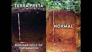 Making Terra Preta Soil [upl. by Alusru]