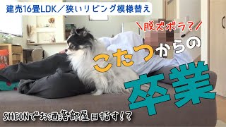 【１６畳LDK】脱ズボラ！模様替えして春を迎える／SHEINでインテリア購入 [upl. by Nicholson885]