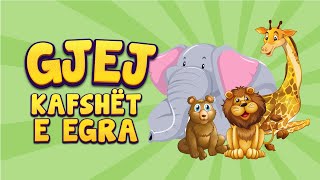 Loja Gjej Kafshët e Egra 🐻 Tingujt e Kafsheve Shqip për Fëmijë [upl. by Denny]