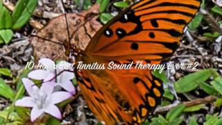 10 Hour Best Tinnitus Sound Therapy Ever 2 Nature Sounds [upl. by Ginder571]