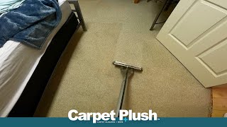 Deep Cleaning Carpet Satisfying ASMR At Home [upl. by Hplar]