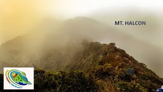 Mt Halcon  Sneak Peak Mindoro Philippines [upl. by Ahseryt537]