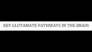 STAHLS  CH 4  PART 18  KEY GLUTAMATE PATHWAYS IN THE BRAIN psychiatrypharmacology [upl. by Gnoix]