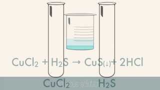 Reactions in Aqueous Solutions [upl. by Eba]