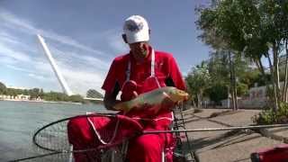 FEEDER en la Barqueta [upl. by Medeah910]