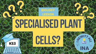 Specialised Plant Cells KS3 Biology Revision [upl. by Niwre]