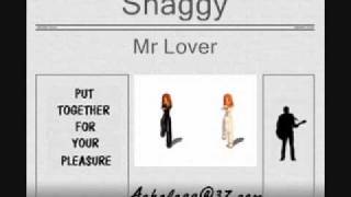 Shaggy  Mr Lover [upl. by Aig]